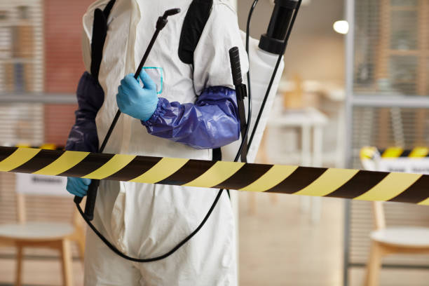 Professional Blood Cleanup technician working in Pettus, TX